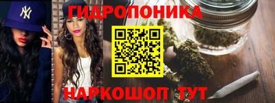 прущие крисы Донской