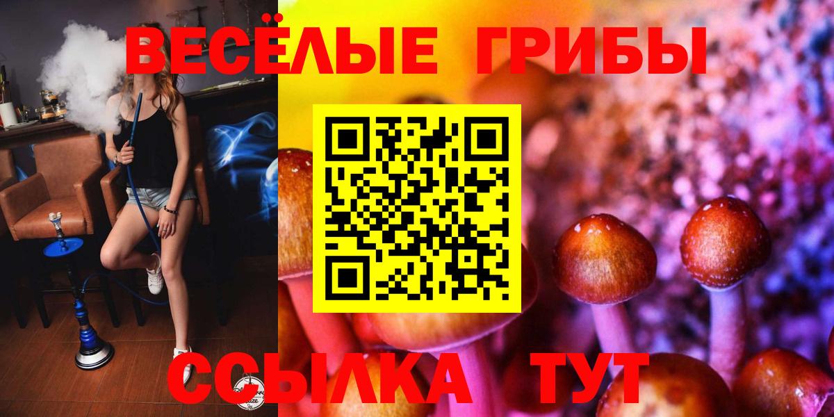Галлюциногенные грибы ЛСД Орехово-Зуево