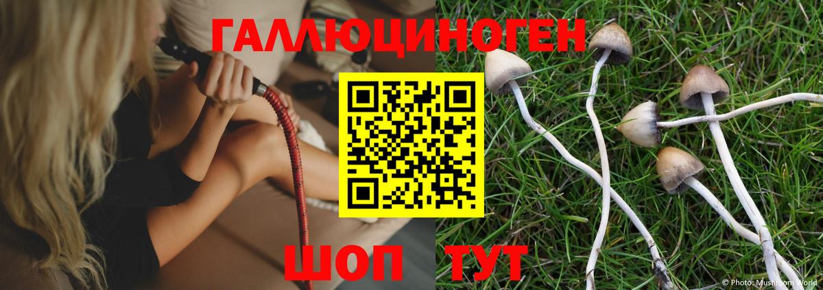 Орехово-Зуево  Галлюциногенные грибы ЛСД  Вход с VPN 